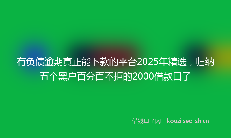 有负债逾期真正能下款的平台2025年精选，归纳五个黑户百分百不拒的2000借款口子