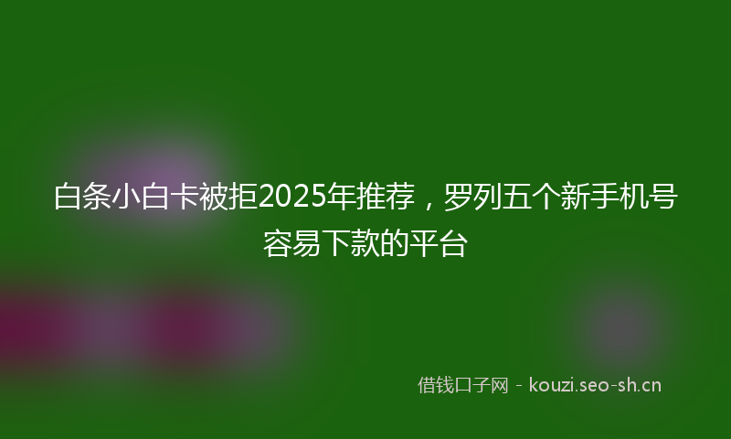 白条小白卡被拒2025年推荐，罗列五个新手机号容易下款的平台