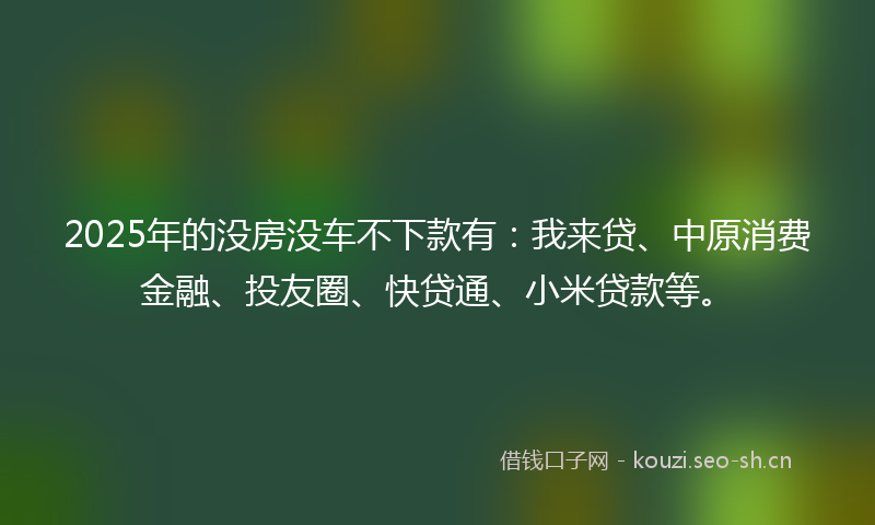 2025年的没房没车不下款有：我来贷、中原消费金融、投友圈、快贷通、小米贷款等。