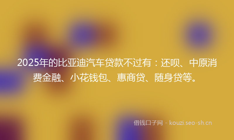2025年的比亚迪汽车贷款不过有：还呗、中原消费金融、小花钱包、惠商贷、随身贷等。