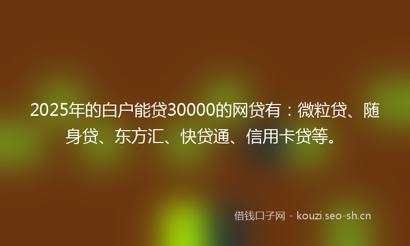 2025年的白户能贷30000的网贷有：微粒贷、随身贷、东方汇、快贷通、信用卡贷等。