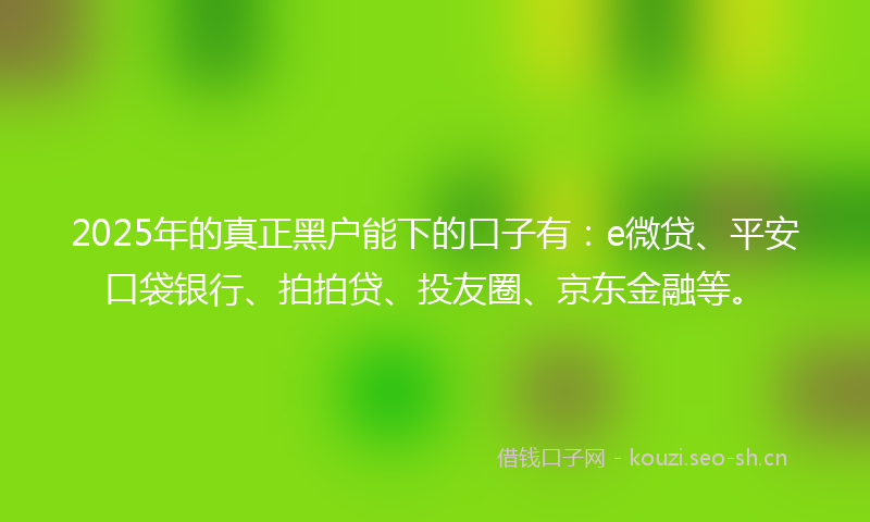 2025年的真正黑户能下的口子有：e微贷、平安口袋银行、拍拍贷、投友圈、京东金融等。