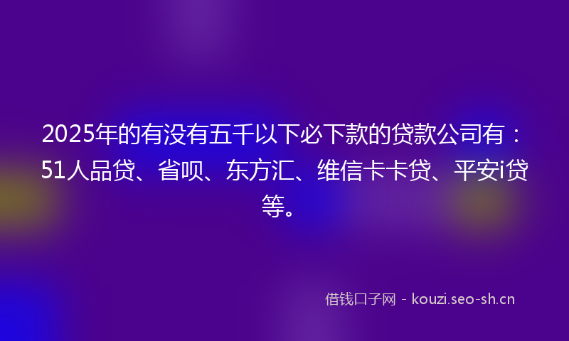 2025年的有没有五千以下必下款的贷款公司有：51人品贷、省呗、东方汇、维信卡卡贷、平安i贷等。