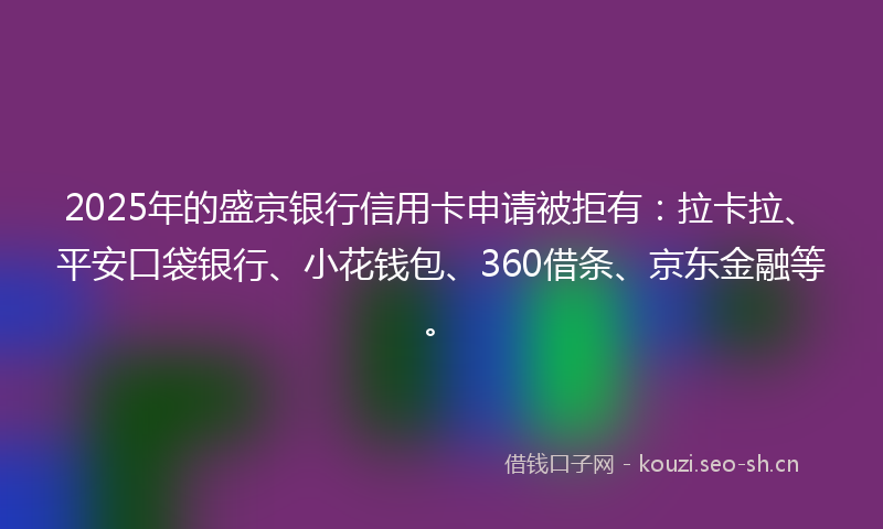 2025年的盛京银行信用卡申请被拒有:拉卡拉、平安口袋银行、小花钱包、360借条、京东金融等。
