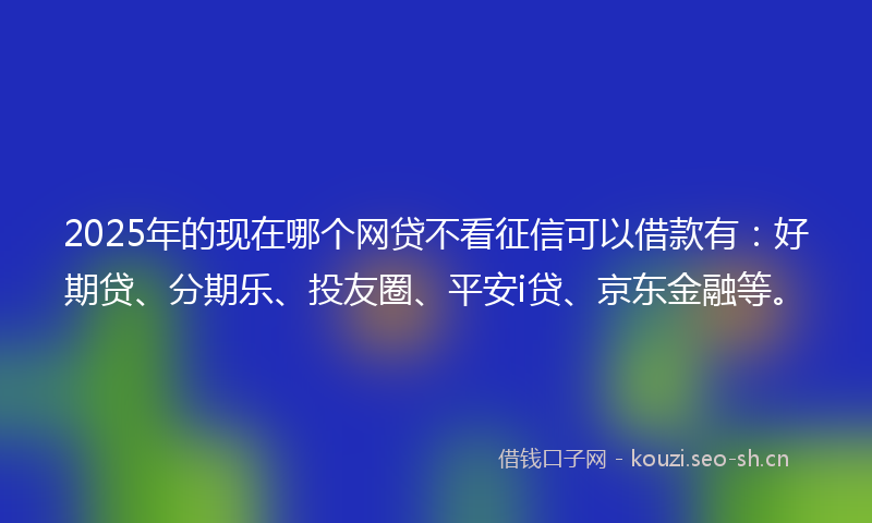 2025年的现在哪个网贷不看征信可以借款有：好期贷、分期乐、投友圈、平安i贷、京东金融等。