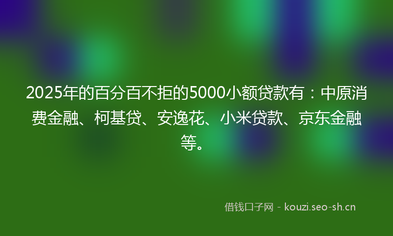 2025年的百分百不拒的5000小额贷款有：中原消费金融、柯基贷、安逸花、小米贷款、京东金融等。