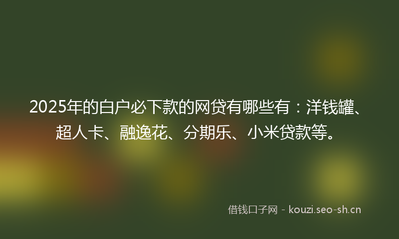 2025年的白户必下款的网贷有哪些有：洋钱罐、超人卡、融逸花、分期乐、小米贷款等。
