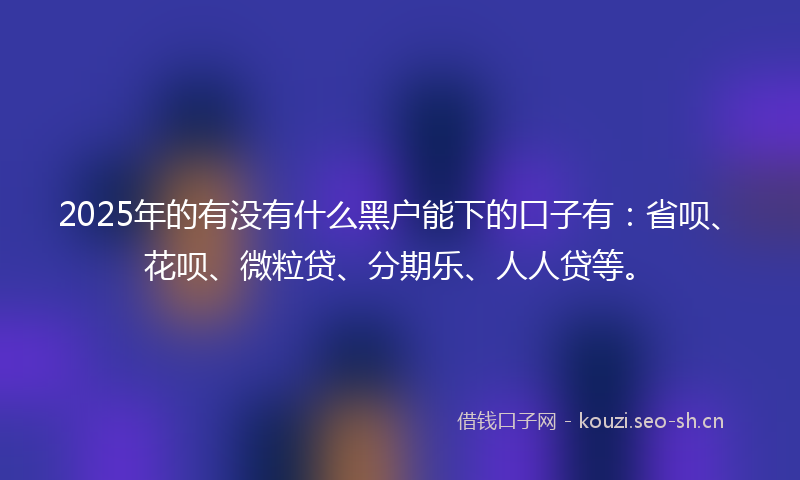 2025年的有没有什么黑户能下的口子有：省呗、花呗、微粒贷、分期乐、人人贷等。