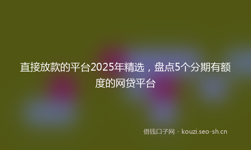 直接放款的平台2025年精选，盘点5个分期有额度的网贷平台
