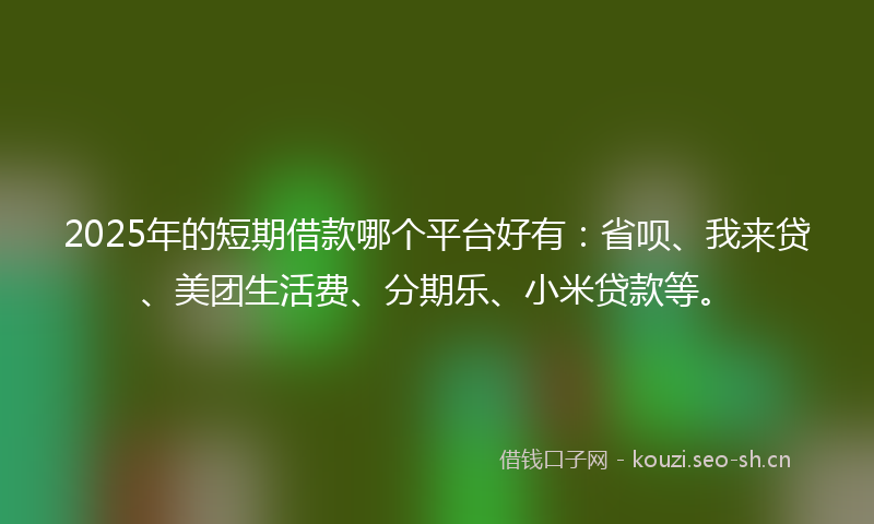 2025年的短期借款哪个平台好有：省呗、我来贷、美团生活费、分期乐、小米贷款等。