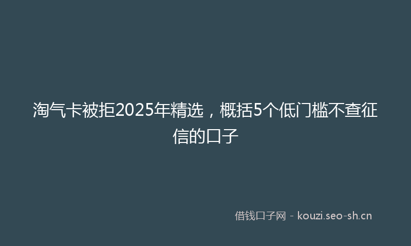 淘气卡被拒2025年精选，概括5个低门槛不查征信的口子
