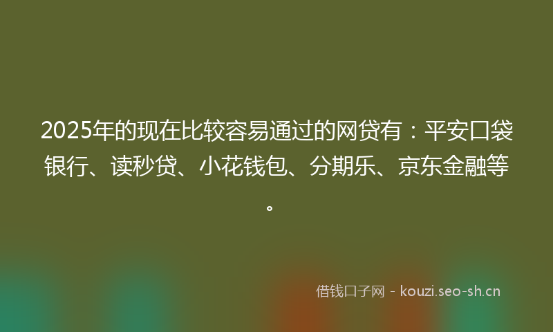 2025年的现在比较容易通过的网贷有：平安口袋银行、读秒贷、小花钱包、分期乐、京东金融等。