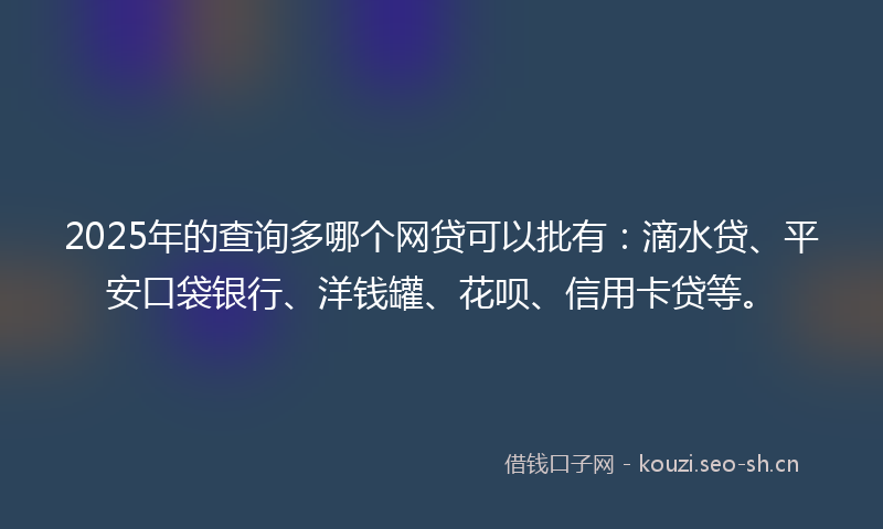 2025年的查询多哪个网贷可以批有：滴水贷、平安口袋银行、洋钱罐、花呗、信用卡贷等。