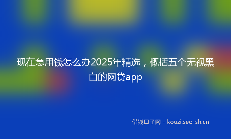 现在急用钱怎么办2025年精选，概括五个无视黑白的网贷app