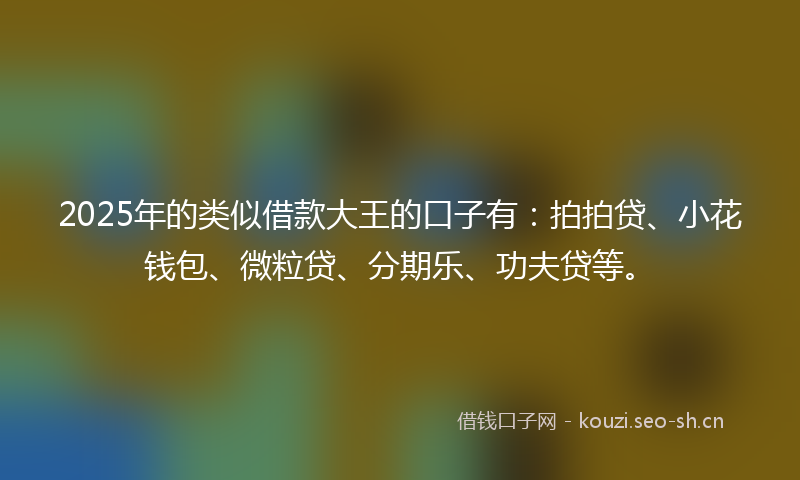 2025年的类似借款大王的口子有：拍拍贷、小花钱包、微粒贷、分期乐、功夫贷等。