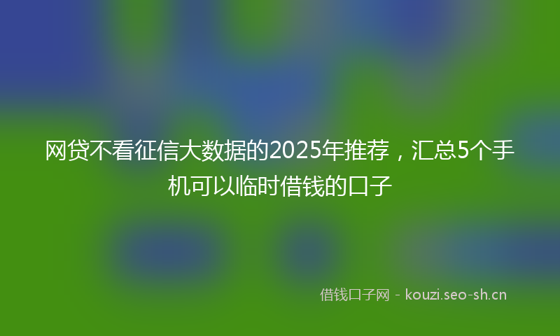 网贷不看征信大数据的2025年推荐，汇总5个手机可以临时借钱的口子