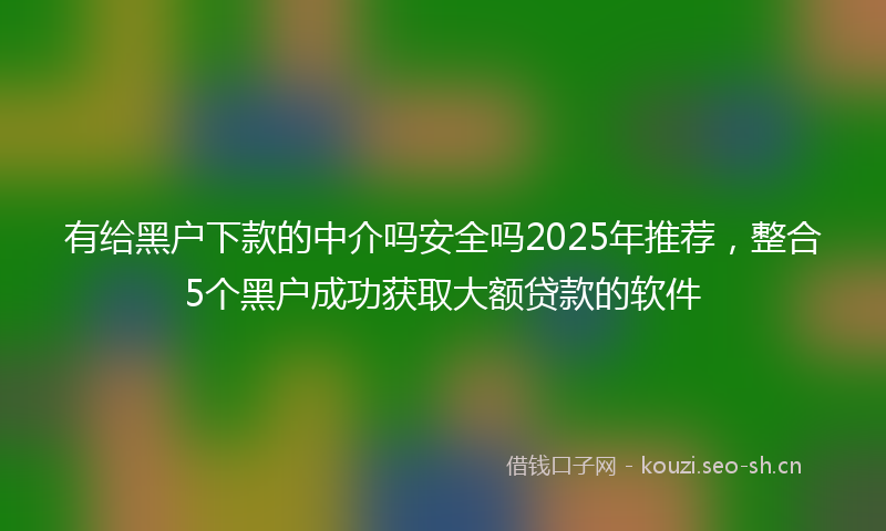 有给黑户下款的中介吗安全吗2025年推荐，整合5个黑户成功获取大额贷款的软件
