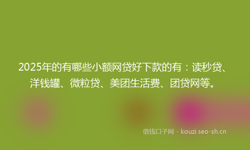 2025年的有哪些小额网贷好下款的有：读秒贷、洋钱罐、微粒贷、美团生活费、团贷网等。