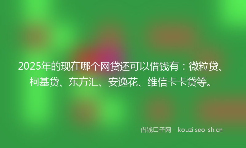 2025年的现在哪个网贷还可以借钱有：微粒贷、柯基贷、东方汇、安逸花、维信卡卡贷等。
