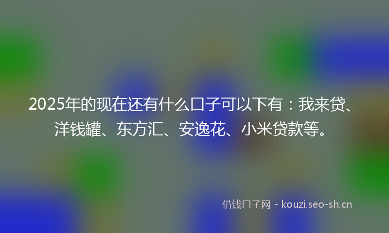 2025年的现在还有什么口子可以下有：我来贷、洋钱罐、东方汇、安逸花、小米贷款等。