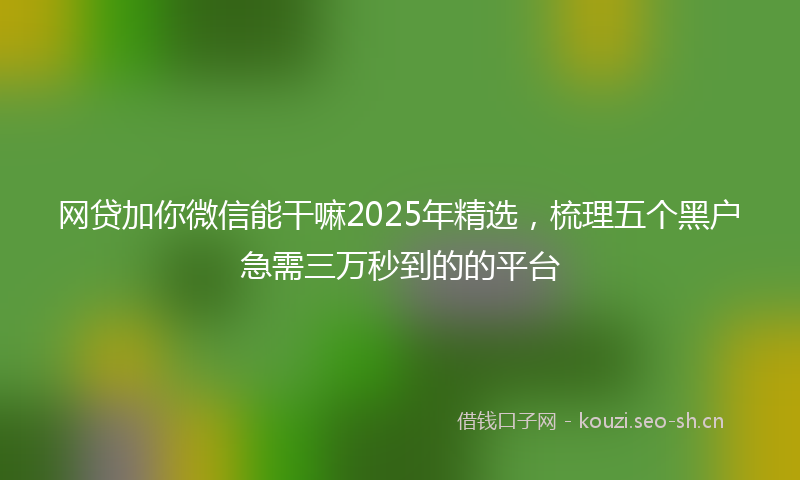 网贷加你微信能干嘛2025年精选，梳理五个黑户急需三万秒到的的平台