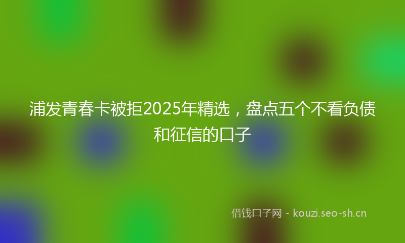浦发青春卡被拒2025年精选，盘点五个不看负债和征信的口子