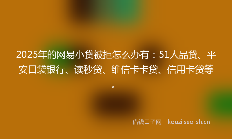 2025年的网易小贷被拒怎么办有：51人品贷、平安口袋银行、读秒贷、维信卡卡贷、信用卡贷等。