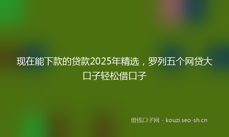 现在能下款的贷款2025年精选，罗列五个网贷大口子轻松借口子
