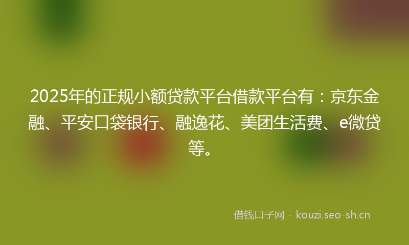 2025年的正规小额贷款平台借款平台有：京东金融、平安口袋银行、融逸花、美团生活费、e微贷等。