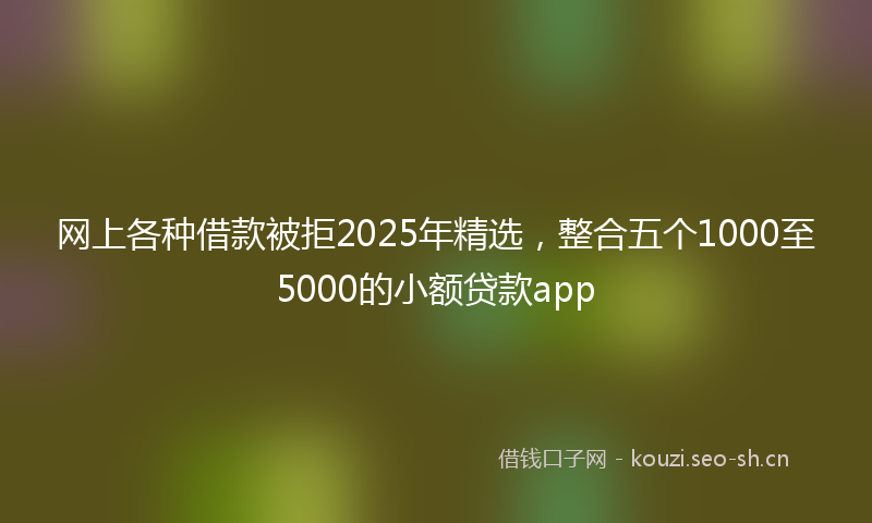 网上各种借款被拒2025年精选，整合五个1000至5000的小额贷款app