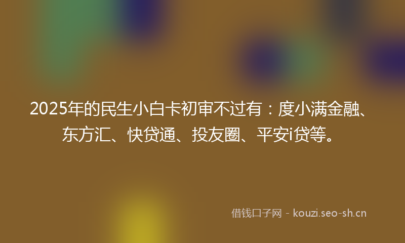 2025年的民生小白卡初审不过有：度小满金融、东方汇、快贷通、投友圈、平安i贷等。