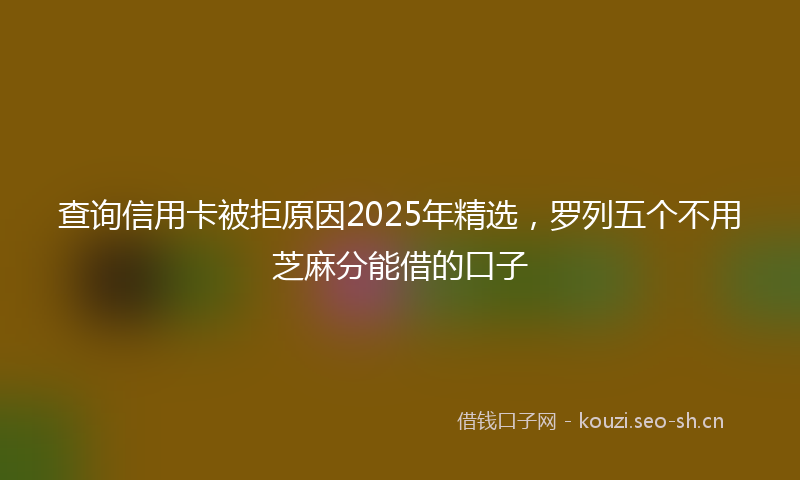 查询信用卡被拒原因2025年精选，罗列五个不用芝麻分能借的口子