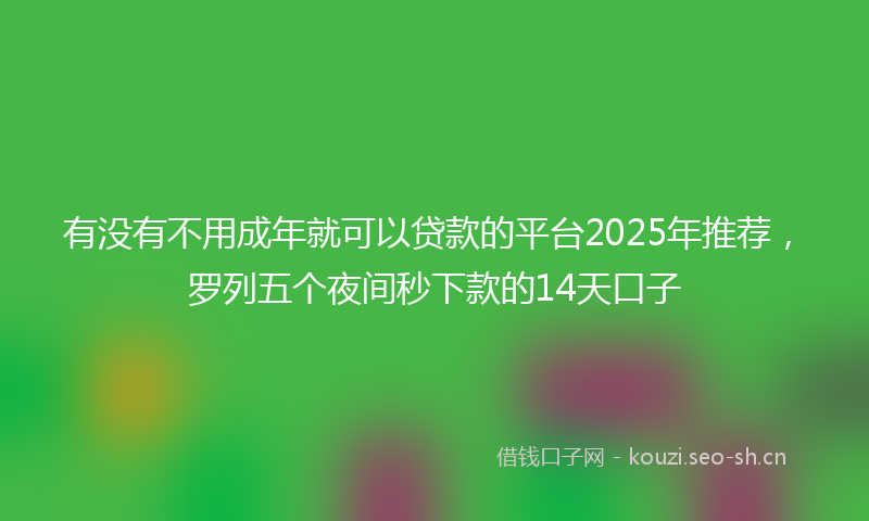 有没有不用成年就可以贷款的平台2025年推荐，罗列五个夜间秒下款的14天口子