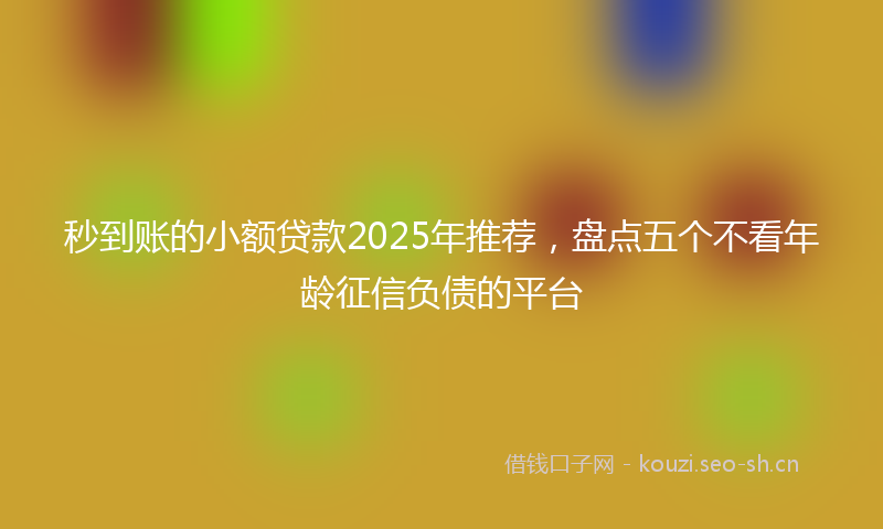 秒到账的小额贷款2025年推荐，盘点五个不看年龄征信负债的平台