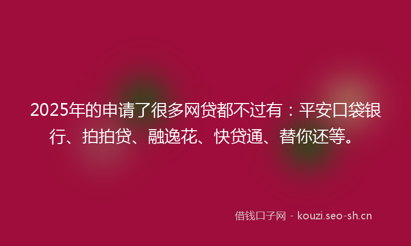 2025年的申请了很多网贷都不过有：平安口袋银行、拍拍贷、融逸花、快贷通、替你还等。
