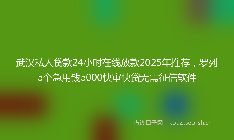 武汉私人贷款24小时在线放款2025年推荐，罗列5个急用钱5000快审快贷无需征信软件