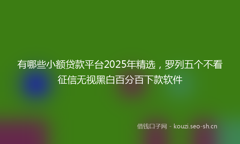 有哪些小额贷款平台2025年精选，罗列五个不看征信无视黑白百分百下款软件