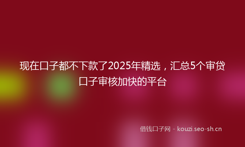 现在口子都不下款了2025年精选，汇总5个审贷口子审核加快的平台