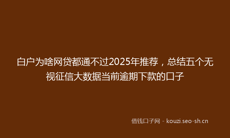 白户为啥网贷都通不过2025年推荐，总结五个无视征信大数据当前逾期下款的口子