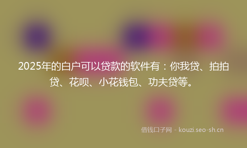 2025年的白户可以贷款的软件有：你我贷、拍拍贷、花呗、小花钱包、功夫贷等。