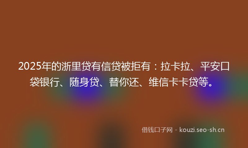 2025年的浙里贷有信贷被拒有：拉卡拉、平安口袋银行、随身贷、替你还、维信卡卡贷等。
