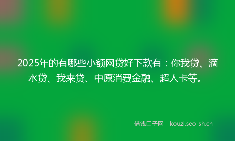 2025年的有哪些小额网贷好下款有：你我贷、滴水贷、我来贷、中原消费金融、超人卡等。