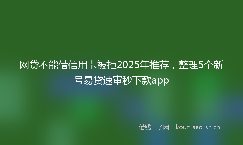 网贷不能借信用卡被拒2025年推荐，整理5个新号易贷速审秒下款app