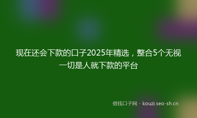现在还会下款的口子2025年精选，整合5个无视一切是人就下款的平台