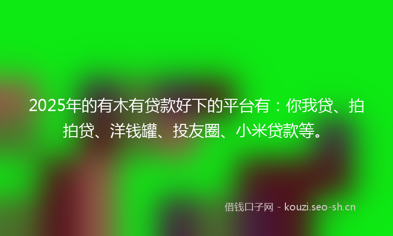 2025年的有木有贷款好下的平台有：你我贷、拍拍贷、洋钱罐、投友圈、小米贷款等。
