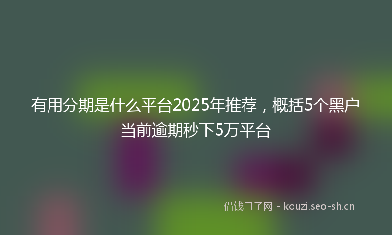 有用分期是什么平台2025年推荐，概括5个黑户当前逾期秒下5万平台