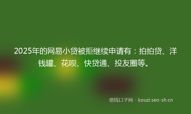 2025年的网易小贷被拒继续申请有：拍拍贷、洋钱罐、花呗、快贷通、投友圈等。
