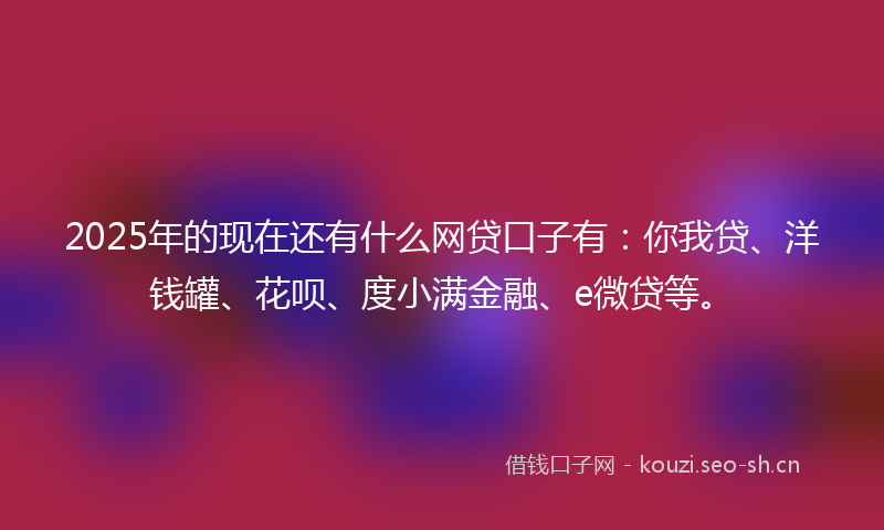 2025年的现在还有什么网贷口子有：你我贷、洋钱罐、花呗、度小满金融、e微贷等。