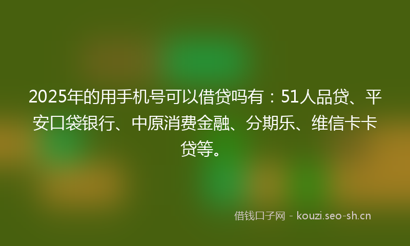 2025年的用手机号可以借贷吗有：51人品贷、平安口袋银行、中原消费金融、分期乐、维信卡卡贷等。