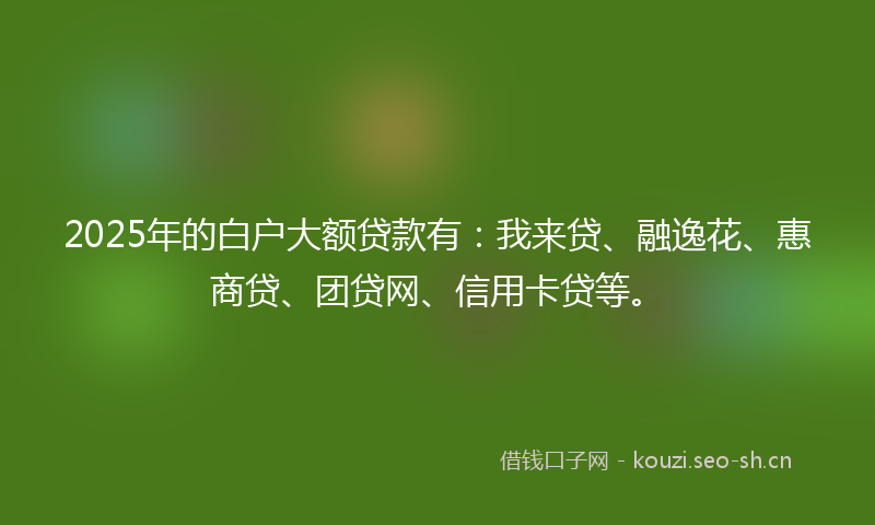 2025年的白户大额贷款有：我来贷、融逸花、惠商贷、团贷网、信用卡贷等。